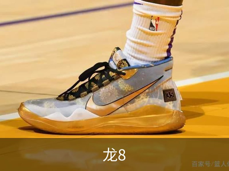 龙8简介